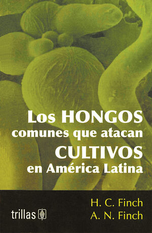 LOS HONGOS COMUNES QUE ATACAN CULTIVOS EN AMERICA LATINA